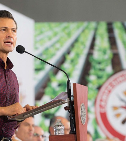 ‘Primero la educación, luego  el diálogo’: Peña Nieto a CNTE