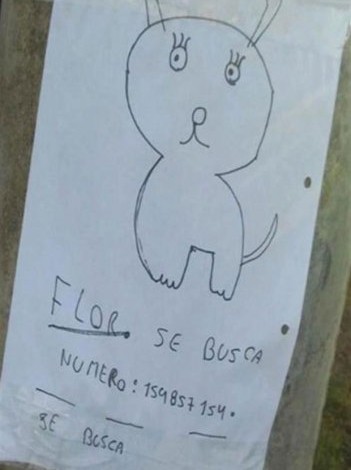 Niños buscan a su perrita perdida con un dibujo hecho por ellos