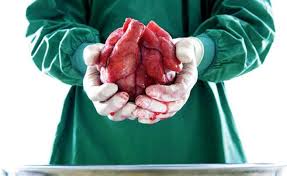 Busca Congreso agilizar y fortalecer la cultura de la donación y trasplante de órganos