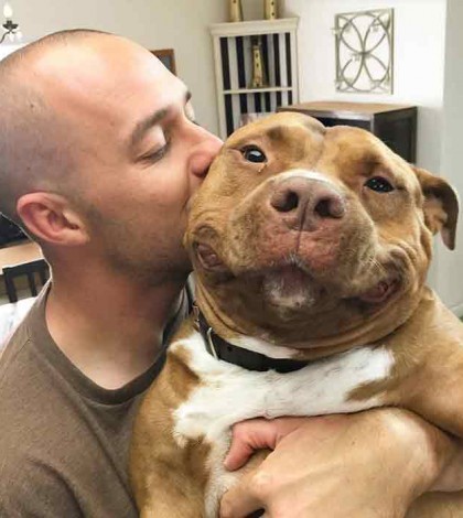 Esta perrita pitbull no puede dejar de sonreír al ser adoptada