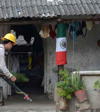 Alerta en Zihuatanejo por posible brote de zika