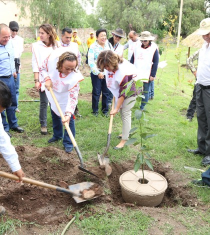 DIF estatal se suma a campaña  de reforestación de Conafor