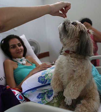 Perros ‘terapeutas’ ayudan a enfermos en Brasil
