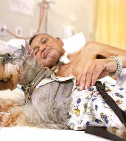Terapia canina; mejor amigo y enfermero