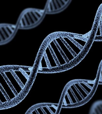 Científicos identifican genes que regulan la propagación del cáncer