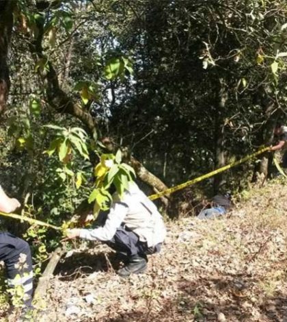 Hallan cadáver de mujer en zona boscosa de Tlalpan