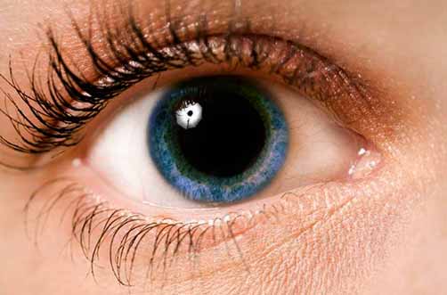 Pupila dilatada; ventana para ver enfermedades – El Heraldo de San Luis