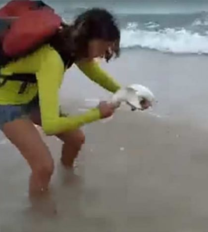 Tiburón muerde a turista que lo sacó del mar para tomarse una ‘selfie’