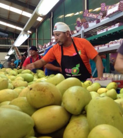 Oaxaca, tierra del mango, no deja de cosechar ni enviar su fruta a EU: Sagarpa
