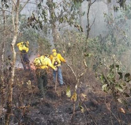 Muere hombre en incendio forestal en Veracruz