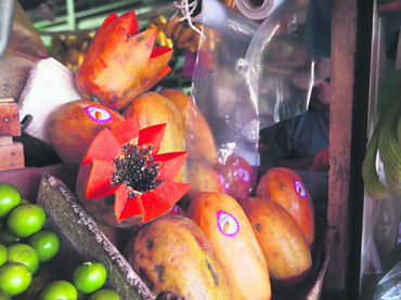Productos agrícolas brincan fronteras en Jalisco: Seder