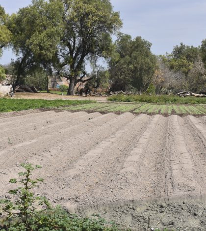 Plantean presupuesto para ejidatarios