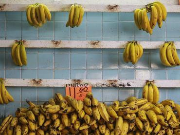 Cosas que cura el plátano
