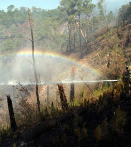 Trabaja Edomex en sofocar incendio en límites con Morelos