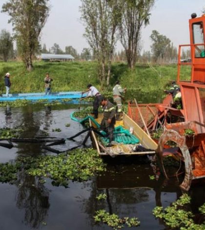 Xochimilco realiza labores de limpieza en sus canales