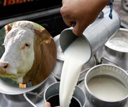 Buena noticia: no habrá alza en el precio de la leche