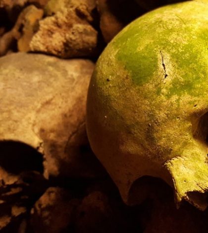 El canibalismo ancestral no tenía afán nutritivo, sino ritual