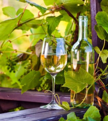 Los beneficios del  vino blanco para salud