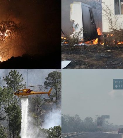 De 10 incendios forestales, 9 son causados por el hombre. ¡Evítalos!: Conafor