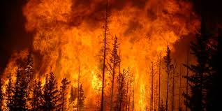 Sigue el fuego en SLP; confirman 45 incendios forestales