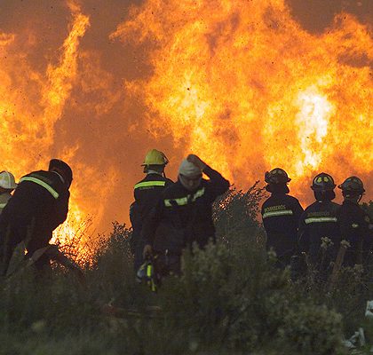 Incendios forestales han arrasado con más de 3 mil hectáreas
