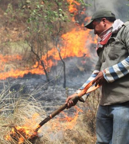 Incendios forestales arrasan con más de 3 mil hectáreas