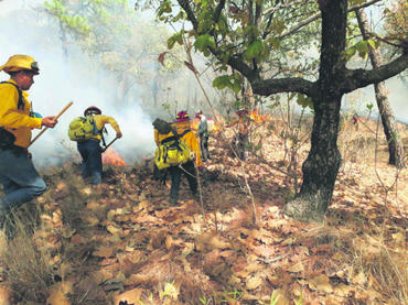 Controlan, tras 24 horas, incendio forestal en La Primavera, Jalisco