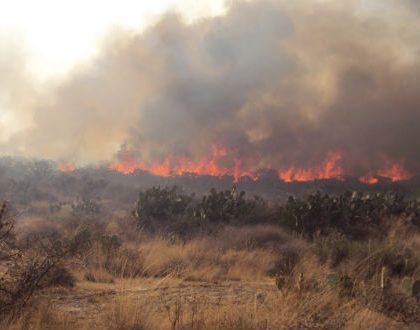 Controlados los incendios en el Estado