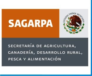 Recortes presupuestales han afectado a los productores: Sagarpa