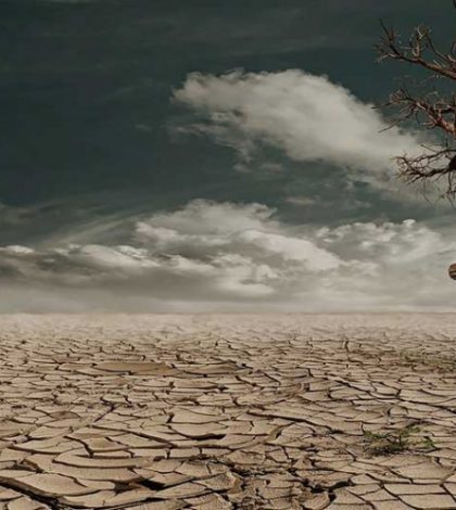 Combate a la desertificación y sequía, reto de la humanidad
