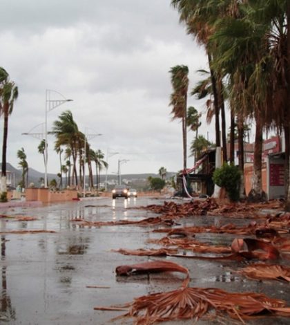 ¡Atención! UNAM pronostica 14 huracanes para septiembre y octubre