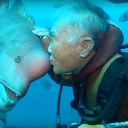 Un anciano japonés lleva más  de 30 años visitando a este pez