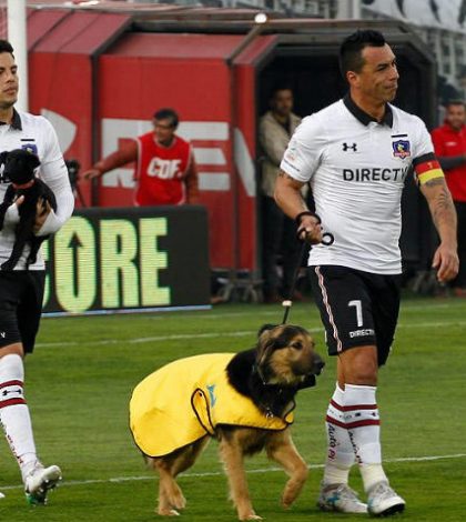 El Colo Colo sale a la cancha acompañado por perros