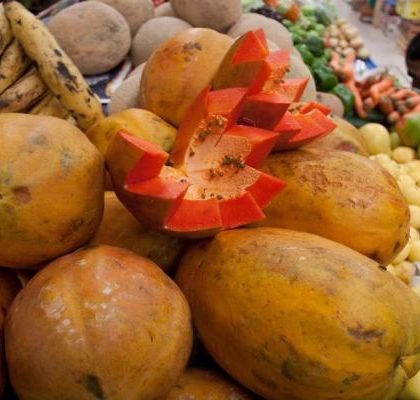 Prematuro, señalar a papaya mexicana como fuente de salmonella: Senasica
