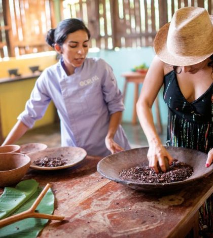 Un recorrido de sabor por la ruta del cacao en tabasco