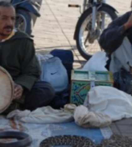 Encantador muere mordido por su serpiente ante  cientos de turistas en Marrakech