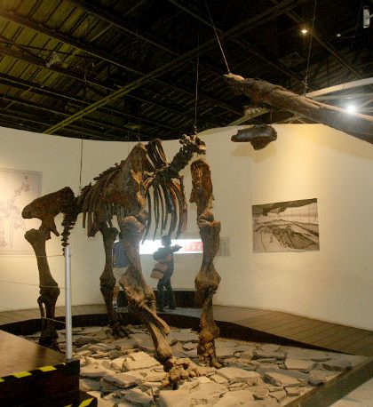 El museo de Paleontología te da alas