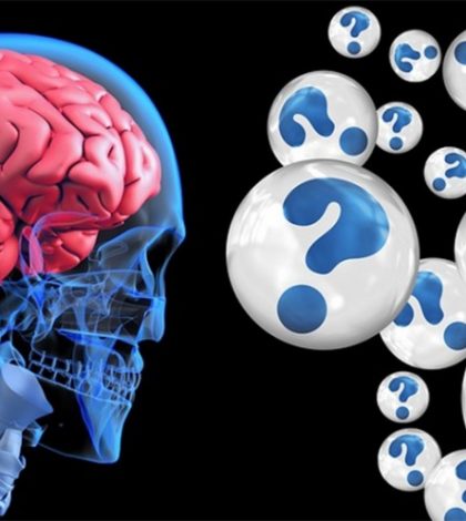 Científicos detallan como trabaja nuestro cerebro al recordar