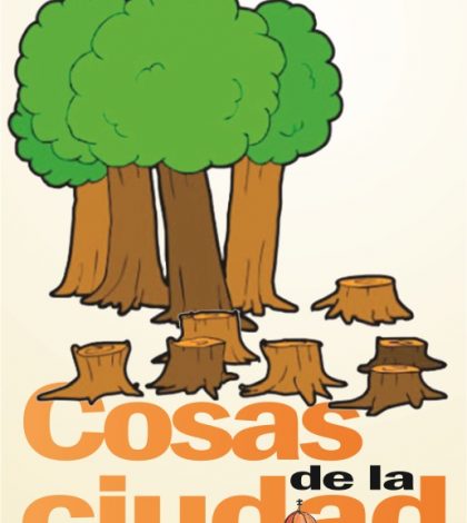 Cosas de la Ciudad: No a la desforestación del Bosque de Niebla de la Sierra de Xilitla