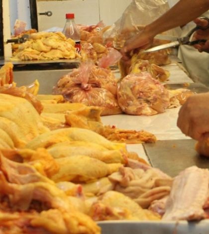 Alertan: Lavar el pollo crudo, un riesgo para salud: FSA