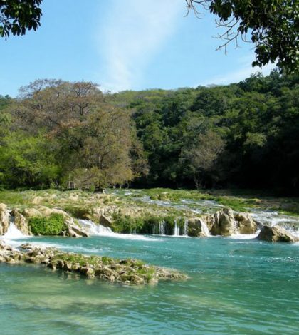 Buscan  evitar la degradación de la cuenca del Río Gallinas