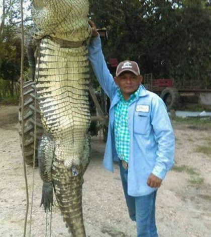 Este es el enorme cocodrilo que mató a un pescador en Tabasco