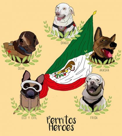 Perros rescatistas, los nuevos héroes de los mexicanos
