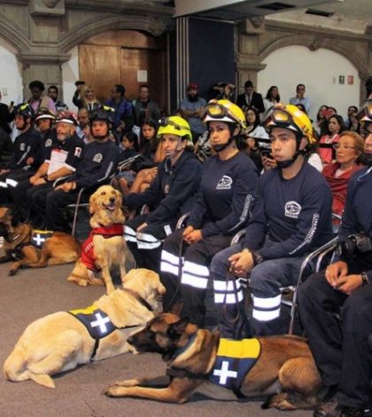 Reconocen a ‘Hueso’, perro rescatista de la UNAM tras 19-S