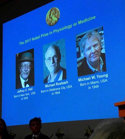 Dan Nobel de Medicina a investigadores del ‘reloj biológico’