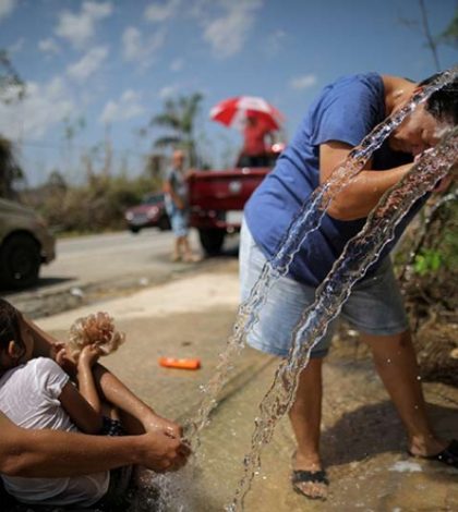Alerta en Puerto Rico por posible brote de leptospirosis; 4 muertos