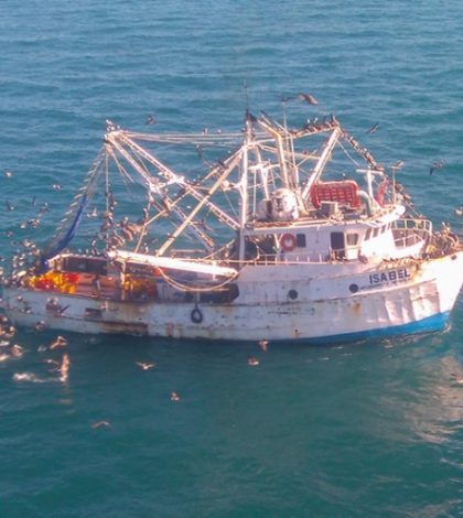 Profepa asegura barco por pesca en zona de vaquita marina