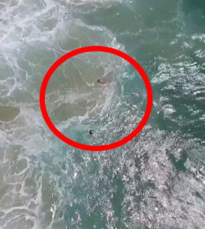 #Video: Dron ayuda a dos surfistas atrapados en Australia