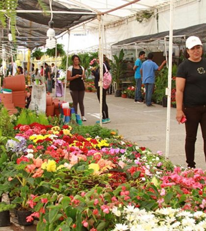 Realizarán la tradicional “Feria de las Flores” en el Parque de Morales
