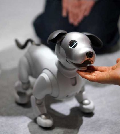 Aibo, el perro-robot, arrasa y  se agota en la venta anticipada